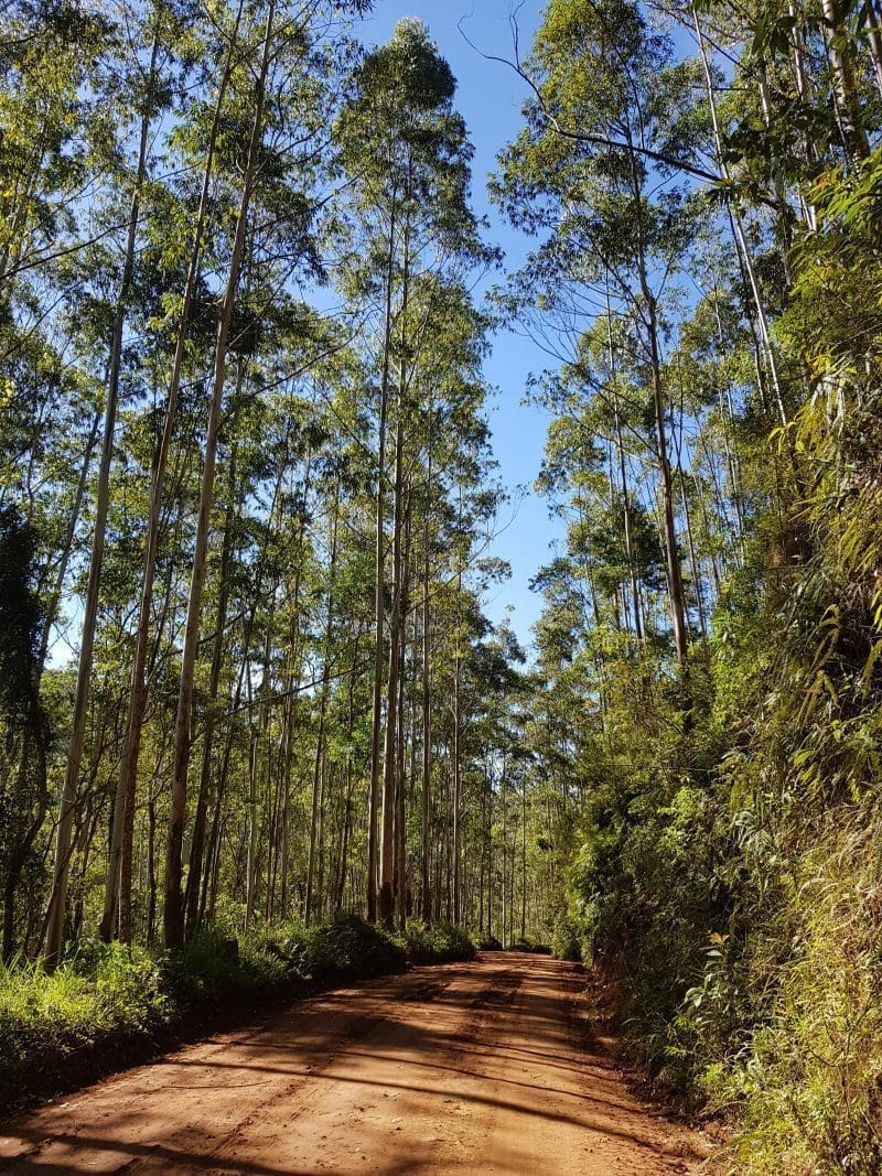 Estrada de terra que leva os visitantes de São Francisco Xavier aos chalés e pousadas da região.