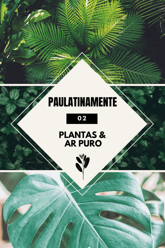 podcast paulatinamente - áudio que aborda saúde mental e bem-estar